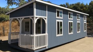 tecate sheds blue studio cabin